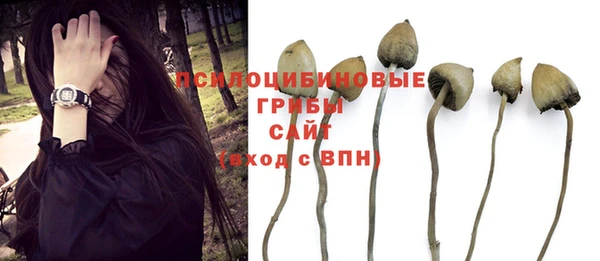 метадон Протвино