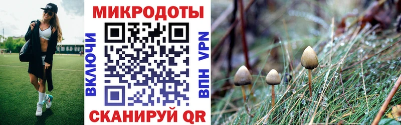 Псилоцибиновые грибы ЛСД Нестеров
